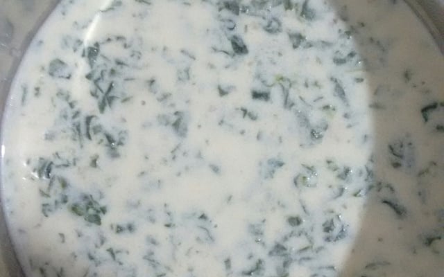 Molho Branco com Espinafre