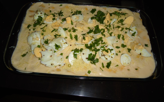 macarrão italiano á bolonhesa