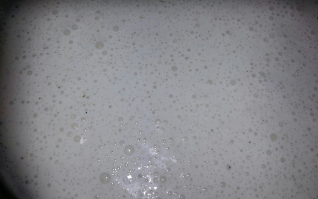 Maionese caseira de leite da Micheli !