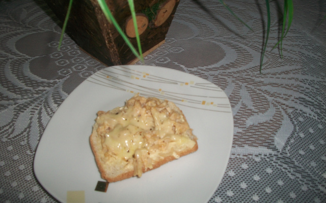 Lanche primavera