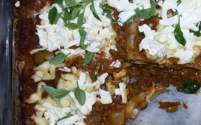 Lasanha de soja e queijo minas light