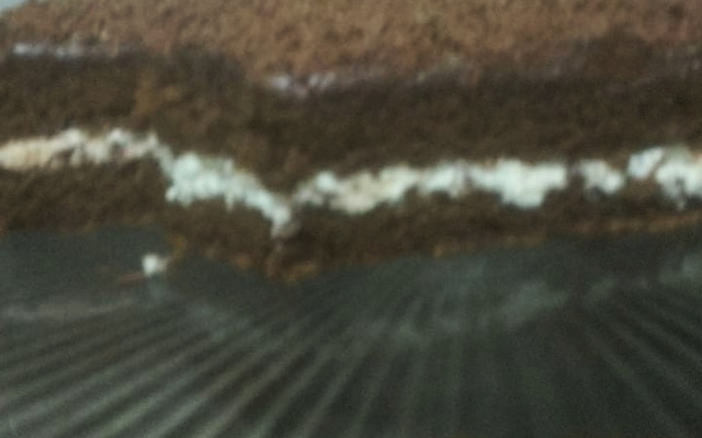 Torta morena da Vania