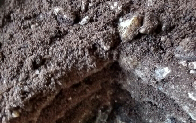 Pavê de chocolate branco com Negresco