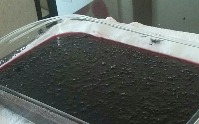 Sagu de vinho com creme