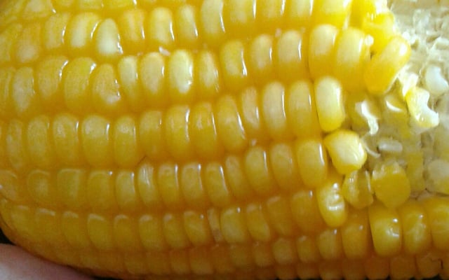 Milho cozido no micro-ondas