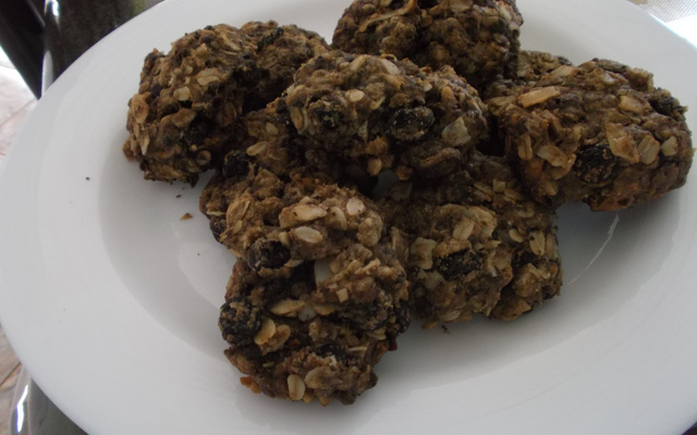 Biscoito de aveia e coco sem farinha de trigo