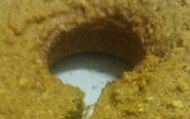 Bolo de cenoura integral