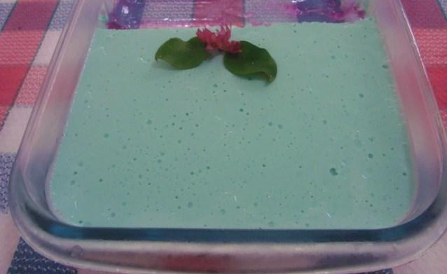 Gelatina Cremosa Bicolor