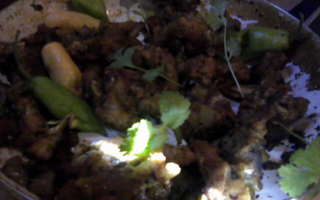 Jacaré à passarinho