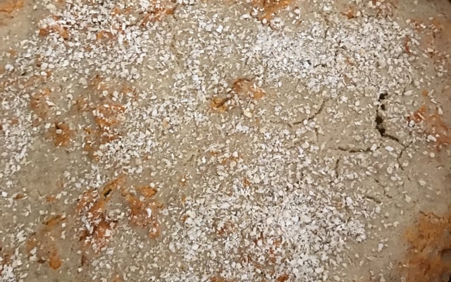 Torta salgada de farinha aveia