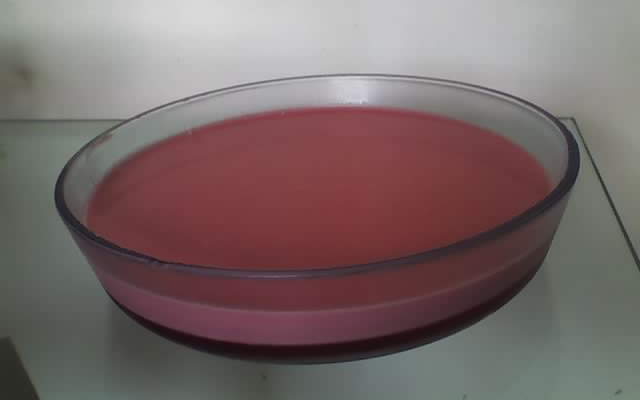 Gelatina com creme rosado