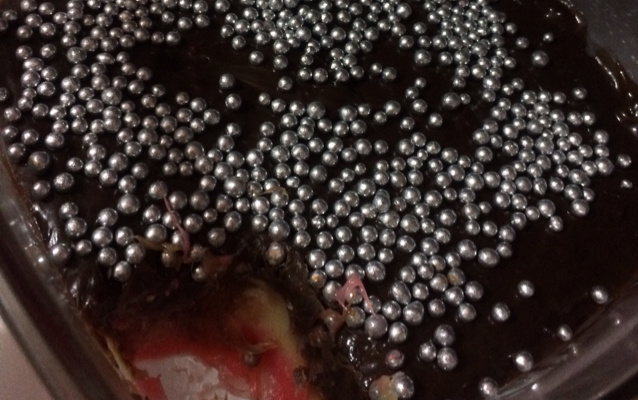 Sobremesa dos netinhos