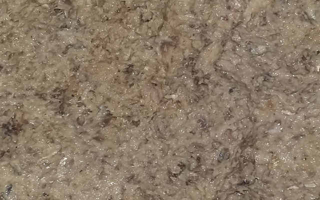 Patê de sardinha em lata