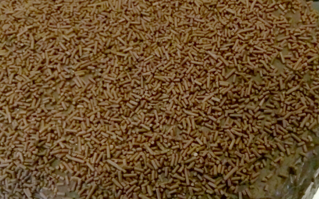 Bolo de chocolate simples