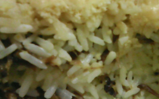 Arroz de forno com carne seca