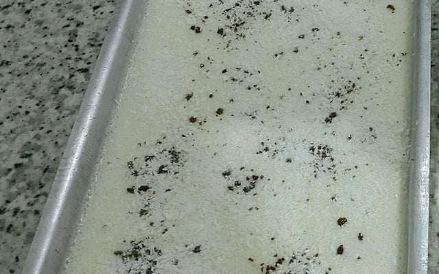 Sorvete de tapioca da Nanda