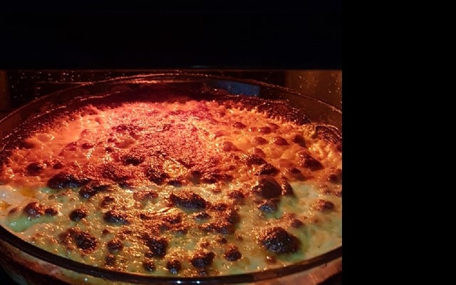 Frango desfiado ao creme de milho