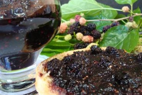 Geleia de amora da Monica de Friends