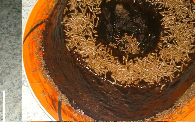 Bolo de chocolate fácil