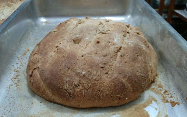 Pão de malte (mosto)