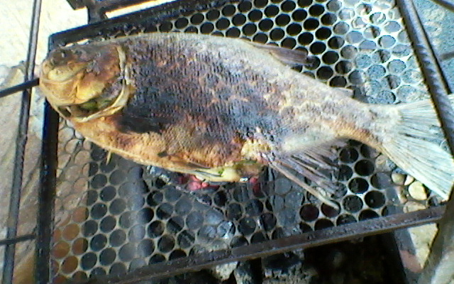 Pacu na churrasqueira