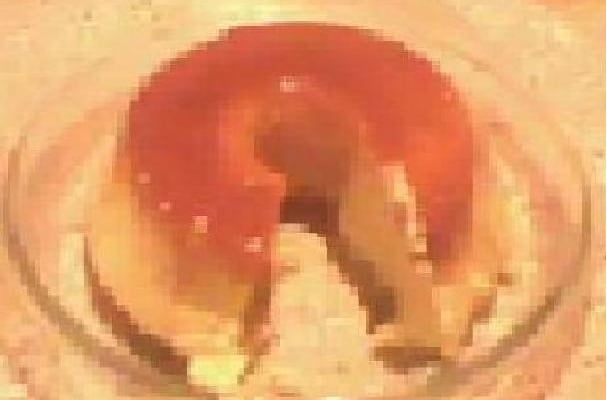 Pudim de leite em pó