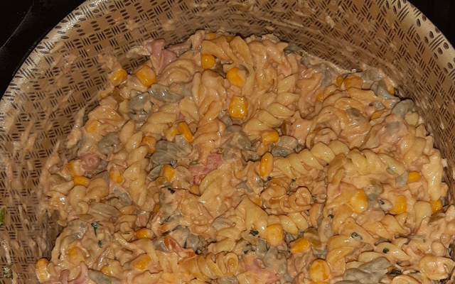 Macarrão com atum e creme de leite rápido