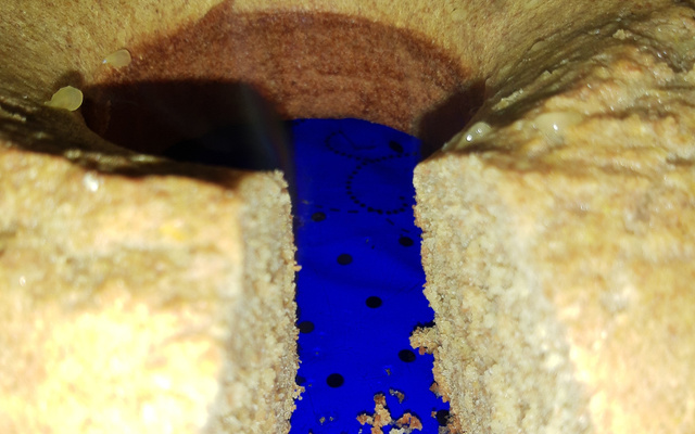 Bolo de laranja integral