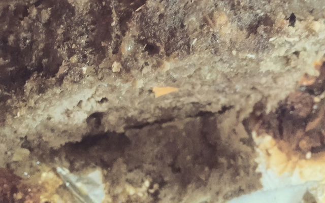 Carne moída com creme de cebola