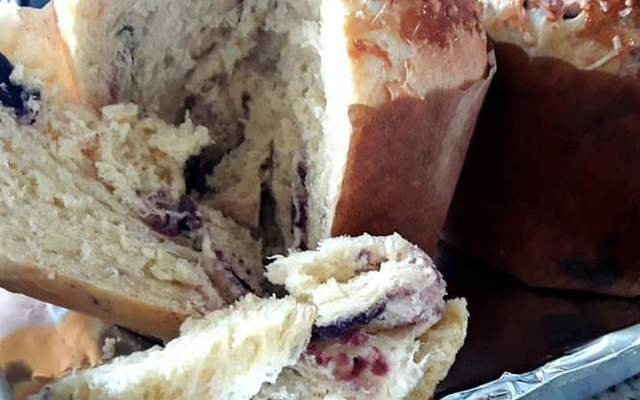 Panetone salgado Salgatone