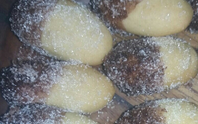 Monteiro Lopes Caseiro