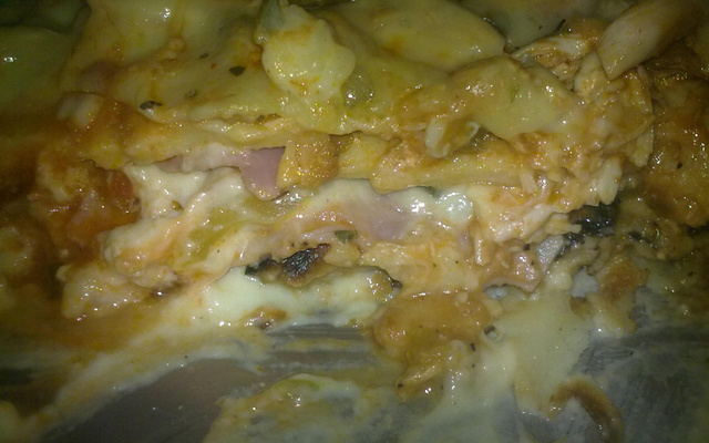 Lasanha diferente e especial da Angélica