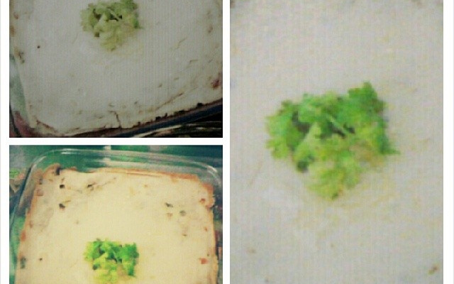 Torta de sardinha econômica