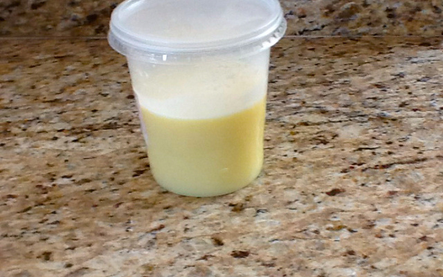 Leite condensado caseiro