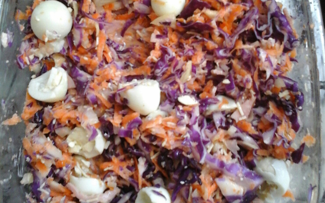 Salada crua de repolho e cenoura