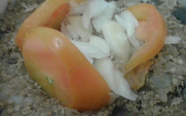 Berinjela com chuchu