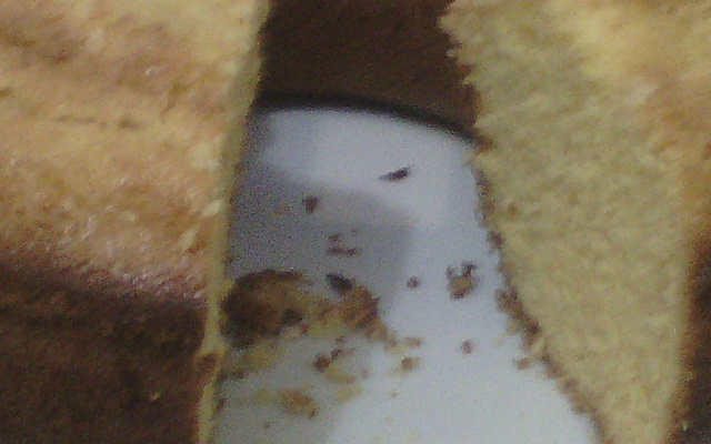 Bolo de fubá superfofo