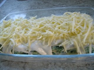 Canelone regado ao molho branco