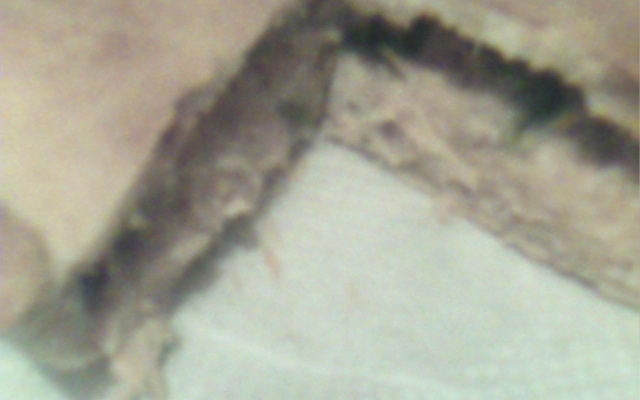 Empadinha de frango do Valdir