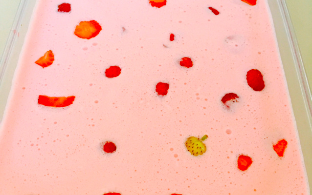 Gelatina bicolor da Mel