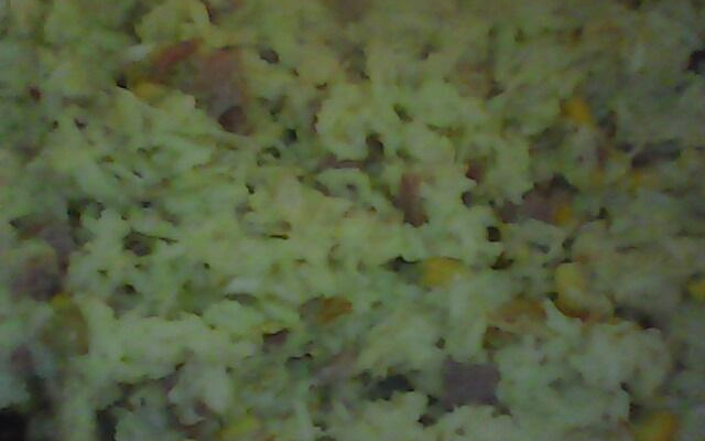 Almoço em 12 minutos !