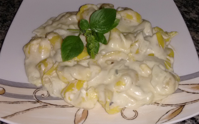 Capeletti ao molho branco de gorgonzola