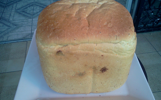 Pão de cenoura com gotas de chocolate na panificadora