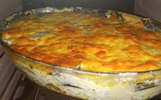 Lasanha de berinjela com molho branco