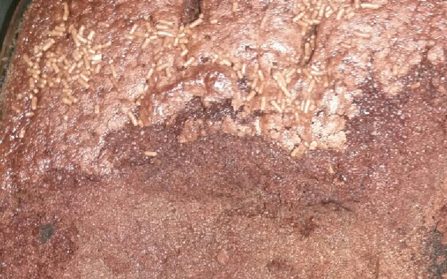 Bolo de chocolate (super fácil e rápido)