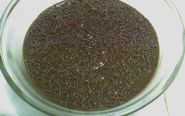 Mousse de brigadeiro