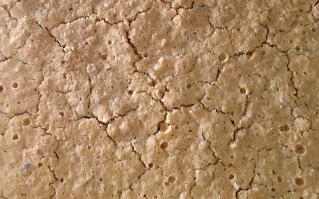 Bolo/biscoito da superfície lunar