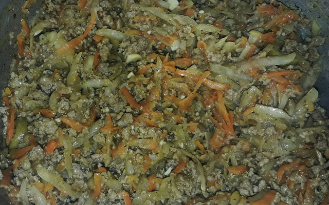 Carne moída com cenoura e batata raladas