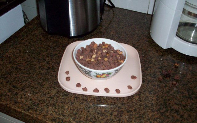 Carrapinha (amendoim coberto com chocolate)