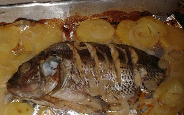 Tilápia assada